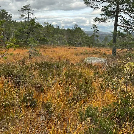 Nyaraló Cozy Log Near Havrefjell Åmli